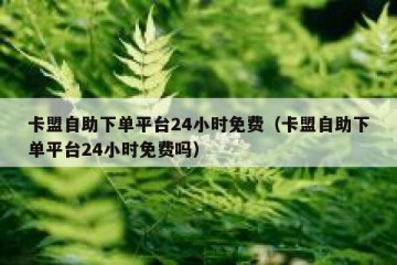 卡盟自助下单平台24小时免费（卡盟自助下单平台24小时免费吗）