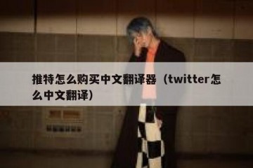 推特怎么购买中文翻译器（twitter怎么中文翻译）