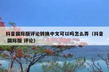 抖音国际版评论转换中文可以吗怎么弄（抖音 国际版 评论）