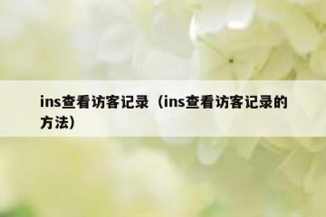 ins查看访客记录（ins查看访客记录的方法）
