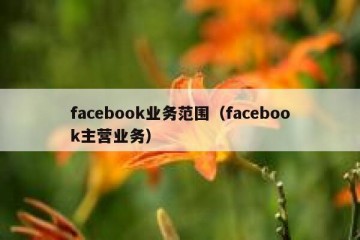 facebook业务范围（facebook主营业务）