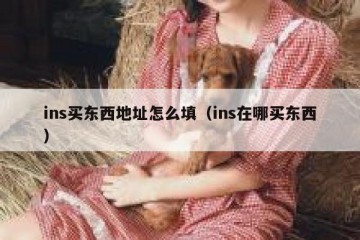 ins买东西地址怎么填（ins在哪买东西）
