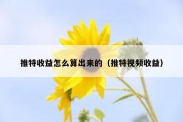推特收益怎么算出来的（推特视频收益）