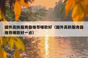 国外高防服务器推荐哪款好（国外高防服务器推荐哪款好一点）