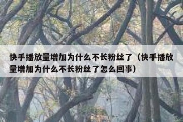 快手播放量增加为什么不长粉丝了（快手播放量增加为什么不长粉丝了怎么回事）