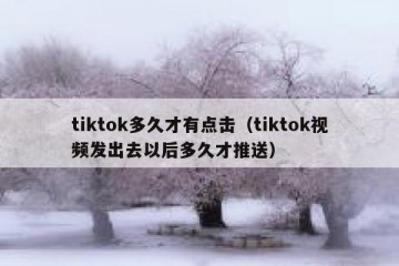 tiktok多久才有点击（tiktok视频发出去以后多久才推送）