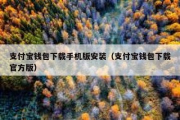 支付宝钱包下载手机版安装（支付宝钱包下载官方版）
