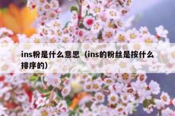 ins粉是什么意思（ins的粉丝是按什么排序的）