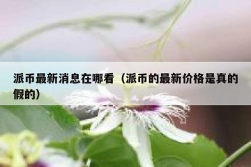派币最新消息在哪看（派币的最新价格是真的假的）