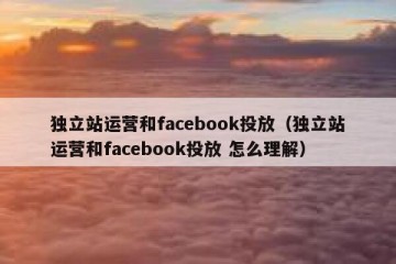独立站运营和facebook投放（独立站运营和facebook投放 怎么理解）