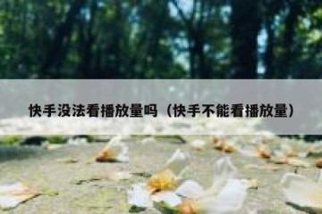 快手没法看播放量吗（快手不能看播放量）