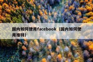 国内如何使用facebook（国内如何使用推特）