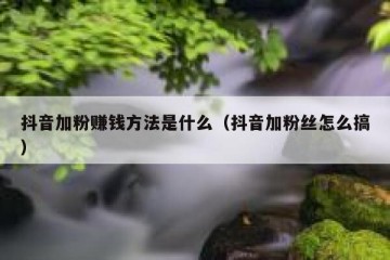抖音加粉赚钱方法是什么（抖音加粉丝怎么搞）