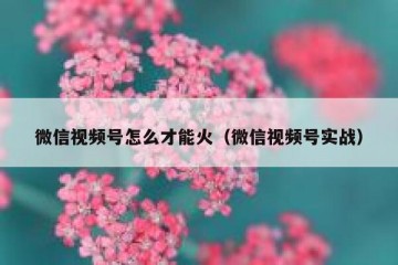 微信视频号怎么才能火（微信视频号实战）