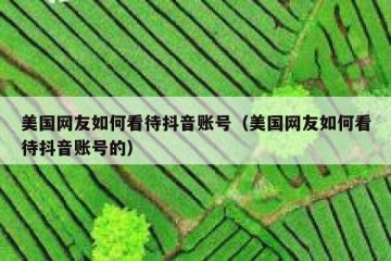 美国网友如何看待抖音账号（美国网友如何看待抖音账号的）