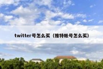 twitter号怎么买（推特帐号怎么买）