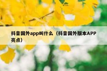 抖音国外app叫什么（抖音国外版本APP亮点）