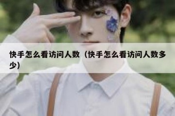快手怎么看访问人数（快手怎么看访问人数多少）