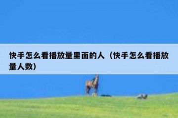 快手怎么看播放量里面的人（快手怎么看播放量人数）