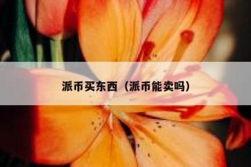 派币买东西（派币能卖吗）