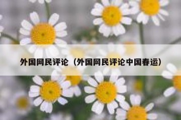 外国网民评论（外国网民评论中国春运）