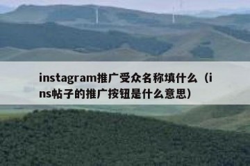 instagram推广受众名称填什么（ins帖子的推广按钮是什么意思）