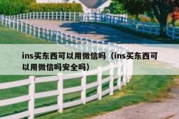 ins买东西可以用微信吗（ins买东西可以用微信吗安全吗）