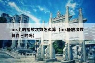 ins上的播放次数怎么算（ins播放次数算自己的吗）