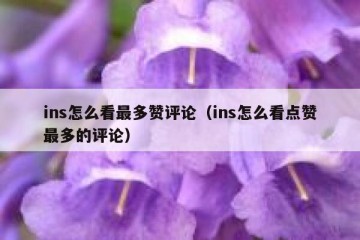 ins怎么看最多赞评论（ins怎么看点赞最多的评论）