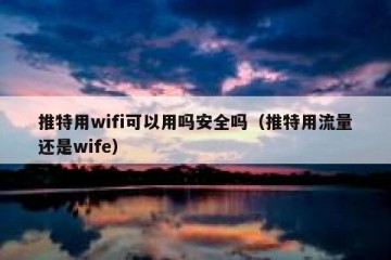 推特用wifi可以用吗安全吗（推特用流量还是wife）