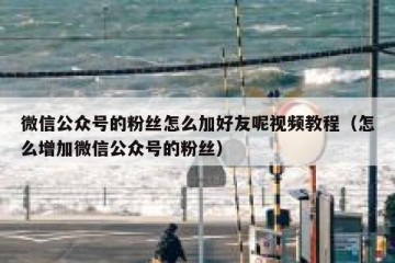 微信公众号的粉丝怎么加好友呢视频教程（怎么增加微信公众号的粉丝）