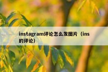 instagram评论怎么发图片（ins的评论）