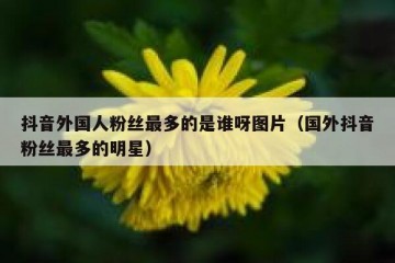 抖音外国人粉丝最多的是谁呀图片（国外抖音粉丝最多的明星）