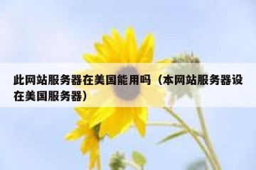 此网站服务器在美国能用吗（本网站服务器设在美国服务器）