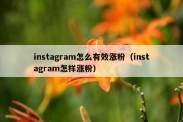 instagram怎么有效涨粉（instagram怎样涨粉）