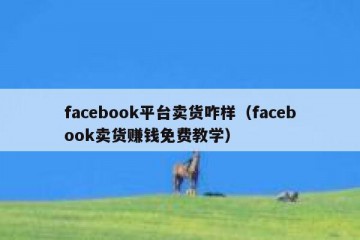 facebook平台卖货咋样（facebook卖货赚钱免费教学）
