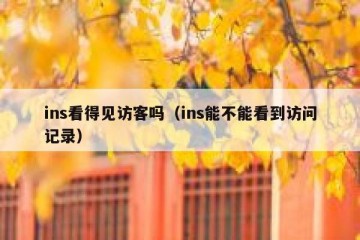 ins看得见访客吗（ins能不能看到访问记录）