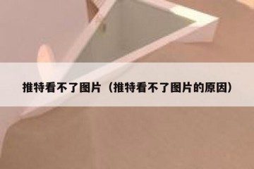 推特看不了图片（推特看不了图片的原因）