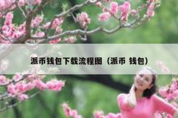 派币钱包下载流程图（派币 钱包）