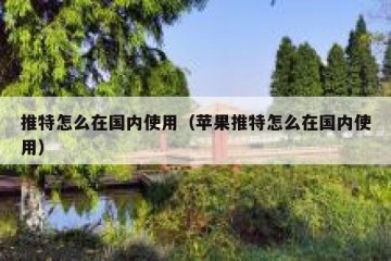 推特怎么在国内使用（苹果推特怎么在国内使用）