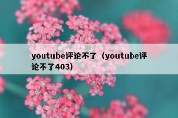 youtube评论不了（youtube评论不了403）