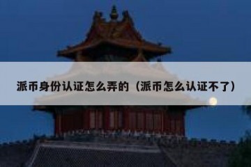 派币身份认证怎么弄的（派币怎么认证不了）