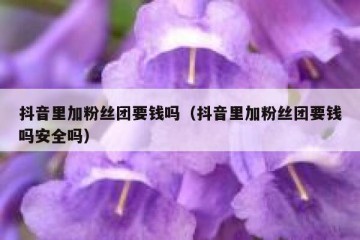 抖音里加粉丝团要钱吗（抖音里加粉丝团要钱吗安全吗）
