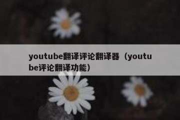 youtube翻译评论翻译器（youtube评论翻译功能）