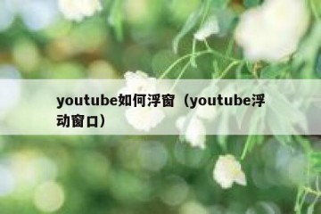 youtube如何浮窗（youtube浮动窗口）