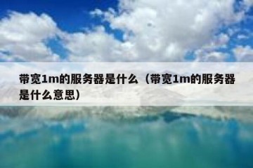 带宽1m的服务器是什么（带宽1m的服务器是什么意思）