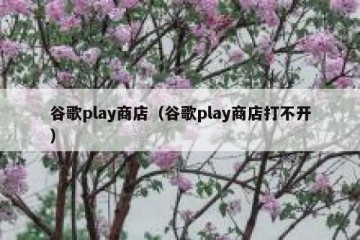 谷歌play商店（谷歌play商店打不开）
