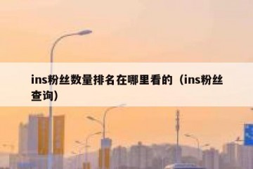 ins粉丝数量排名在哪里看的（ins粉丝查询）