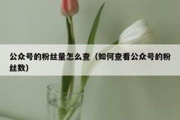 公众号的粉丝量怎么查（如何查看公众号的粉丝数）