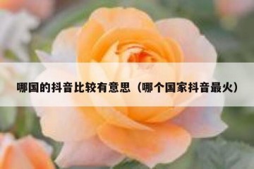 哪国的抖音比较有意思（哪个国家抖音最火）